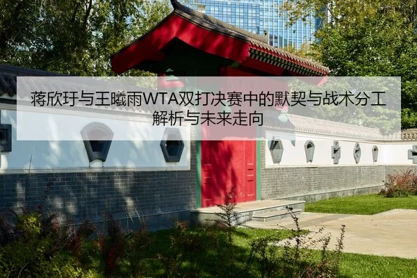 蒋欣玗与王曦雨WTA双打决赛中的默契与战术分工解析与未来走向